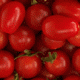 Tomato Clips